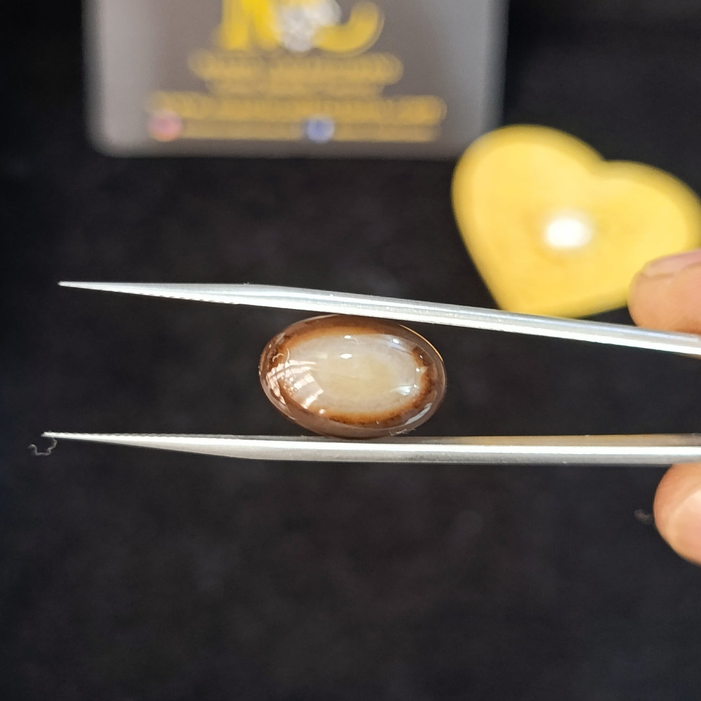 Eye Agate (Ankh Wala Aqeeq)